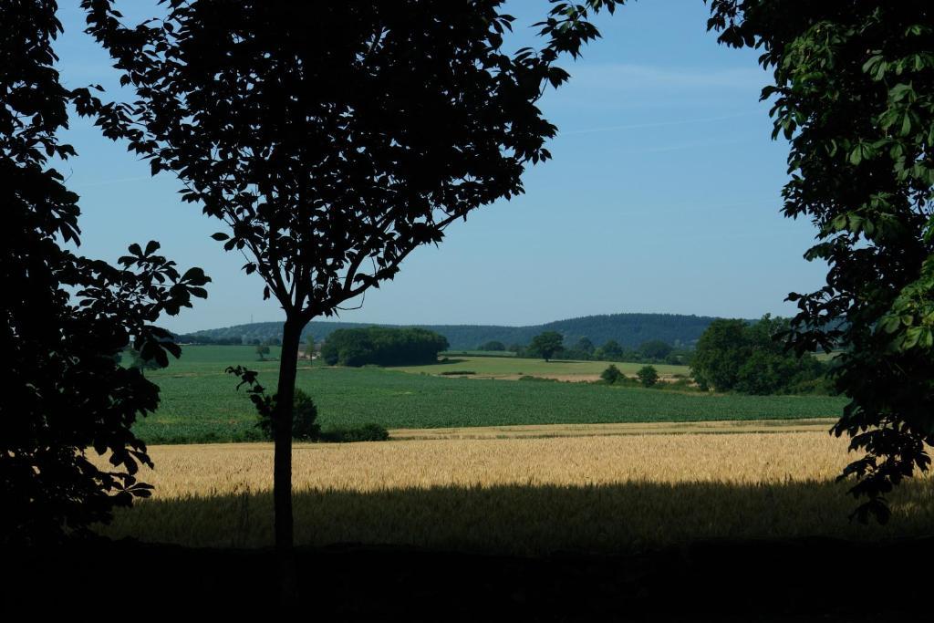 Chambres D'Hotes - Domaine Des Perrieres Crux-la-Ville Luaran gambar